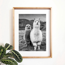 Cuadro decorativo de Alpaca para decoración de la habitación de los niños, pintura de animales, cuadro decorativo de guardería, hoja en blanco y negro 2024 - compra barato