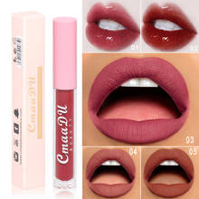 Batom gloss labial 5 cores, matte copo antiaderente, longa duração à prova d' água suor hidratante esmalte lábio maquiagem tslm1 2024 - compre barato