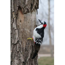 Realistic Artificial Animal Feather Garden Figure Woodpecker Bird Decor 2024 - buy cheap