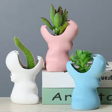 Cartoon Cute Big mouth hippopotamus Succulent Ceramics FlowerPot Desktop Plant Pots Container Gift Balcony Bonsai pot decoration 2024 - buy cheap