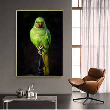 Canvas Print Posters Green Parrot Animal Picture HD Living Room Wall Art Classical Bird Home Decor Animal Poster Canvas Painting 2024 - buy cheap