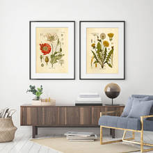 Poster retrô de plantas palaeobios, flor de linho, cogumelos borboleta, pintura em tela, arte de parede, imagem, decoração de casa 2024 - compre barato