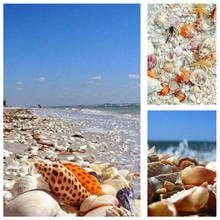 DIY Summer Shell Beach Square Drill Diamond Painting Colorful Handmade Cross Stitch Kits Embroidery Mosaic Home Room Wall Decor 2024 - buy cheap