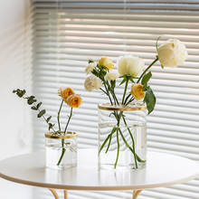 Vaso de vidro transparente para decoração, vaso de vidro criativo nórdico para sala de estar, arranjo de flores e plantas hidropônicas para decoração de casa 2024 - compre barato