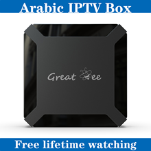 Free Shipping Android TV Box Stable IP TV Best Set Top Box Great Bee Arabic Box for Gift 2024 - buy cheap