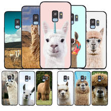 Black Soft Silicone cases Lama Llama Alpacas Animal Phone Case For Samsung Galaxy S8 S9 S10 PLUS S10LITE NOTE8 NOTE9 NOTE10 2024 - buy cheap