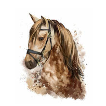 Pintura por números de animal com cabeça de cavalo marrom, 50x65cm, faça você mesmo, pintado a óleo, adulto, criança, imagem, colorir, decoração de casa, presente exclusivo 2024 - compre barato