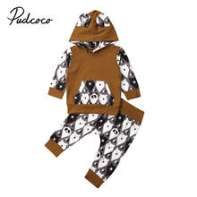 2019 Baby Spring Autumn Clothing 2PCS Newborn Toddler Infant Baby Girl Boy Tracksuit Clothes Panda Hooded Top Long Pants Outfits 2024 - buy cheap