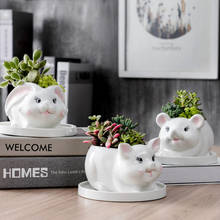 European Style Succulent Plant Flowerpot Ceramic Flower Pot Rabbit Cat Mouse Shape Vase Planter Balcony Decor Home Garden Decor 2024 - buy cheap