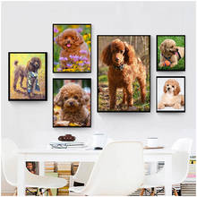 Completo redondo bordado de diamante poodle faça você mesmo pintura de diamante ponto de cruz imitação de diamante mosaico para decoração de casa enfeite de cachorro 2024 - compre barato