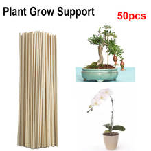 50 pçs planta de madeira crescer suporte de bambu planta varas para suporte de cana vara de flor 2024 - compre barato