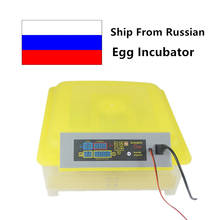 Полностью автоматический инкубатор яиц для перепелиных цыплят, Брудер, инкубационное оборудование для домашней птицы, инкубатор, 48 автоматический поворот яиц для цыплят 2024 - купить недорого
