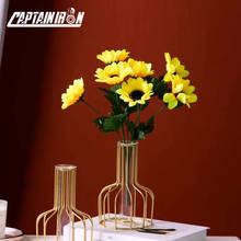 Декоративная ваза CAPTAINIRON, железная Цветочная ваза, цветочные горшки с террариумом, металлические украшения, поделки для офиса, Настольный Декор для дома 2024 - купить недорого