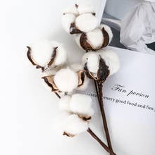 1 Bunch of 10 Heads Naturally Dried Cotton Flower Stem Artificial Flower for Wedding Party Living Room Decoration Flower Branch 2024 - buy cheap