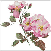 UMA flor rosa padrões Contados Cross Stitch 11CT 14CT 18CT 28CT Chinês DIY Kits de Ponto Cruz Bordado Conjuntos Costura 2024 - compre barato