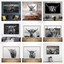 Nordic decoração highland gado vaca impressão da parede arte lona cartaz animais pintura da lona imagem para sala de estar decoração casa 2024 - compre barato