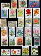 50 шт./лот печать с цветами растениями тема все отличается из многих стран нет повторных почтовых марок с почтовой маркой для коллекционирования 2024 - купить недорого