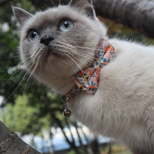 Collar de Gato con lazo de algodón Floral para cachorro, Gato y perro, con campana 2024 - compra barato