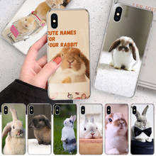 Funda de teléfono suave con diseño de conejo blanco para iPhone, carcasa bonita y suave para modelos 11, 12, 13 Pro MAX, XR, X, XS Mini, 8, 7 Plus, 6, 6S, SE, 5S 2024 - compra barato