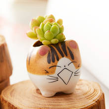 Vaso de plantas suculentas 5 estilos, gato fofo cerâmica mini bonsai vaso de mesa de escritório dos desenhos animados plantador decoração de casa 2024 - compre barato