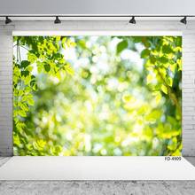 Photographic Background Green Leaves Flare Bokeh Custom Backdrops Photo Studio for Baby Children Home Spring Party Photoshoot 2024 - buy cheap