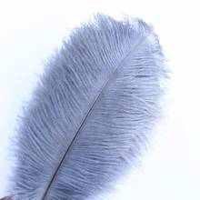 Wholesale Silver gray Ostrich Feathers 15-50CM 6-20 Inch Carnival Decor Party Wedding Decorations Natural Ostrich Feather plumes 2024 - buy cheap