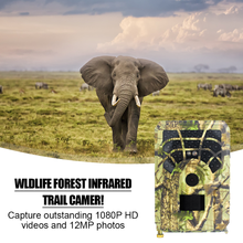 New IP54 Waterproof Wild Trail Camera Wifi APP Control Hunting Cameras 5MP Color CMOS Night Vision Wildlife Photo Traps 2024 - buy cheap