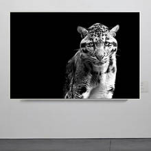 Black White Runing Leopard Canvas Paintings Posters And Prints Africa Wild Animals Wall Pictures Living Room Home Decor 2024 - buy cheap