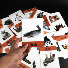 Немецкие карточки животных, детские развивающие игрушки, когнитивные карточки, карты льва, тигра, панды, Монтессори, материалы для игр 2024 - купить недорого