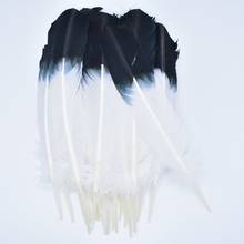 50Pcs/Lot Turkey Feathers Wing Quill Feather Black Eagle Feathers for Crafts Feather Decor Plume Decoration Plumas Carnaval DIY 2024 - buy cheap