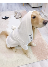 Roupão de banho para animais de estimação, toalha de banho super absorvente de fibra de bambu para cães grandes 2024 - compre barato