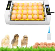 ЕС в американском стиле, имеется в наличии на складе яиц инкубатор 24 яйца Digita мини Automatie Incubatores для яйцо инкубационное индейка и гусь перепелиные яйца инкубация куриных яиц 2024 - купить недорого