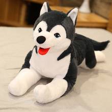 New Huge 70CM Cute simulation Husky Dog Plush Toys Kawaii Lying Husky Pillow Stuffed Soft Animal Dolls Children Baby Gift 2024 - buy cheap