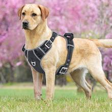 Forte Pet Harness Dog para Cães Pequenos Grandes Reflexivo Pet Harness Vest acessórios Pitbulls Treinamento chihuahua pet fornecimentos 35 2024 - compre barato