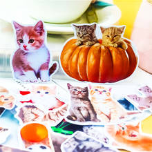 stickers 21pcs Creative kawaii Cute Cartoon CAT scrapbooking stickers /decorative sticker /DIY craft photo albums/Children 2024 - buy cheap