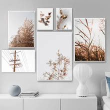 Nature Golden Yellow Wheat Landscape Wall Art Canvas Print Painting Nordic Simple Style  Modern Living Room Decoration 2024 - buy cheap