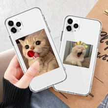 Clear Soft TPU Cover Phone Case For iPhone 12 7 8 Plus XS X XR Cases iPhone 11 Pro MAX SE 2020 12pro Shell Love Heart Cat Cute 2024 - buy cheap