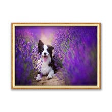 Animal Border Collie DIY 11CT Embroidery Cross Stitch Kits Needlework Craft Set Printed Canvas Cotton Thread Home Design On Sale 2024 - buy cheap