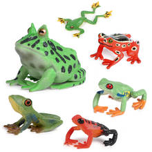 Simulation Action Mini Frog Bullfrog Tree frog Bullfrog Collection Animal Figures Model Cognition Educational toys for childrens 2024 - buy cheap