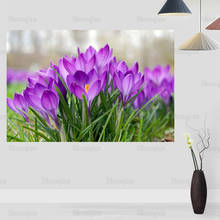 Flower Crocus Poster Wall For Living Room Art Poster Decoration Canvas Fabric Bright No Frame Morden Print Wall 0422 2024 - buy cheap