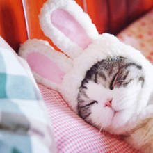 Sombrero de gato de peluche mono con orejas de gato, disfraz de Pascua, tocado de conejo para gatos y gorros pequeños, accesorios para mascotas 2024 - compra barato