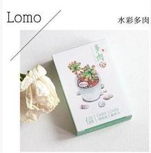 28 Sheets/Set Watercolor Succulent Plants Series Lomo Card DIY Mini Greeting Cards Message Card Gift 2024 - buy cheap