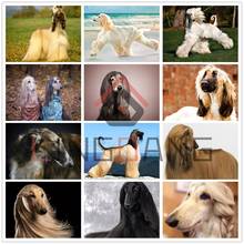 5D DIY Diamond Embroidery Animal Dog Afghan Hound Diamond Painting Full Square Round Drill Cross Stitch Mosaic Home Decor Gift 2024 - buy cheap