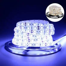 Tira de luces LED resistente al agua, 2835 DC12V 60leds/m 5 m/lote, Flexible, RGB 5050, Blanco/blanco cálido/Rojo/codicia/azul 2024 - compra barato