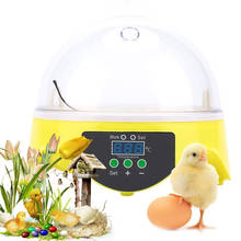 Mini Egg Incubator 7 Eggs Capacity Chicken Duck Egg Hatcher Electronic Automatic Incubator Brooder Tools 110V 220V 2024 - buy cheap