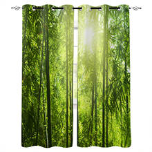 Green Bamboo Sun Plant Print Curtains for Living Room Drapes Cortinas for Kids Boy Girl Bedroom Window Treatments 2024 - buy cheap