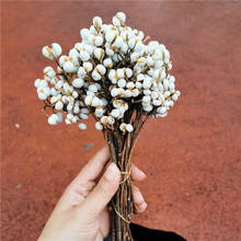100g/lot,Natural Real Dried Flower Bunch,Eternal White fruits flores,DIY Display Flower for Wedding Home Decoration accessories 2024 - buy cheap
