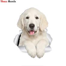 Three Ratels FTC-1062 Gorgeous Golden Retriever 3D Dog Sticker For Car Laptop Luggage Refrigerator Door Decor Waterproof Toy 2024 - buy cheap