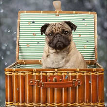 5D diy Diamond Painting Animal puppies Pug dog Art full square Diamond Embroidery Diamond Mosaic Cross Stitch decoration gift 2024 - buy cheap