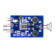 Mini TPA3001D1 20W Mono Class D Digital Power Amplifier Board  AMP Board FOR 12v 19v car 2024 - buy cheap